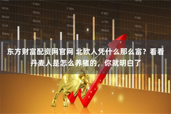 东方财富配资网官网 北欧人凭什么那么富？看看丹麦人是怎么养猪的，你就明白了