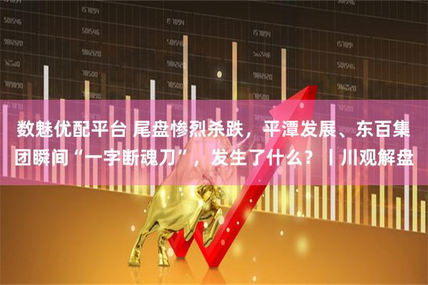 数魅优配平台 尾盘惨烈杀跌，平潭发展、东百集团瞬间“一字断魂刀”，发生了什么？丨川观解盘