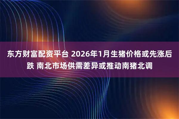 东方财富配资平台 2026年1月生猪价格或先涨后跌 南北市场供需差异或推动南猪北调