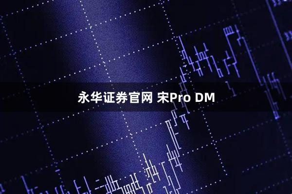 永华证券官网 宋Pro DM