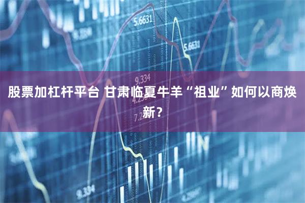 股票加杠杆平台 甘肃临夏牛羊“祖业”如何以商焕新？