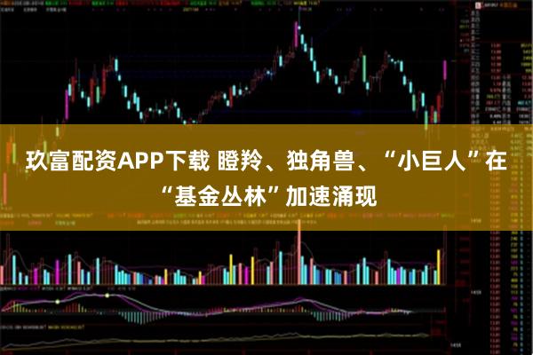 玖富配资APP下载 瞪羚、独角兽、“小巨人”在“基金丛林”加速涌现