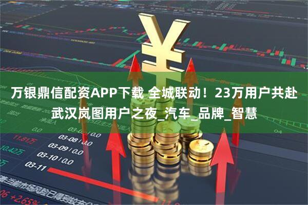 万银鼎信配资APP下载 全城联动！23万用户共赴武汉岚图用户之夜_汽车_品牌_智慧