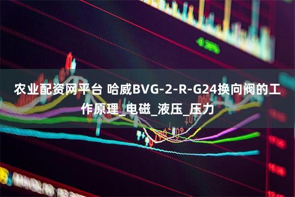 农业配资网平台 哈威BVG-2-R-G24换向阀的工作原理_电磁_液压_压力