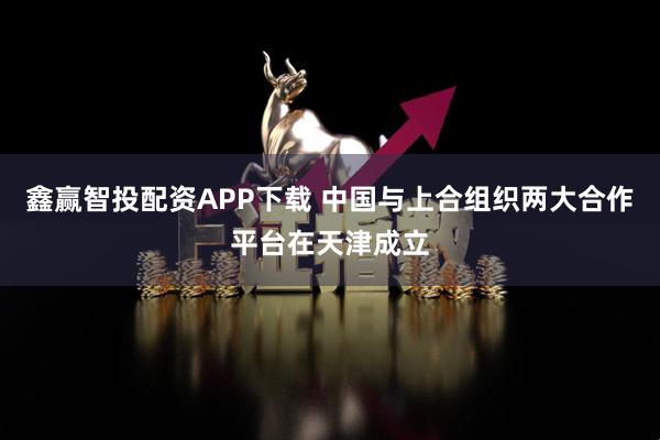 鑫赢智投配资APP下载 中国与上合组织两大合作平台在天津成立